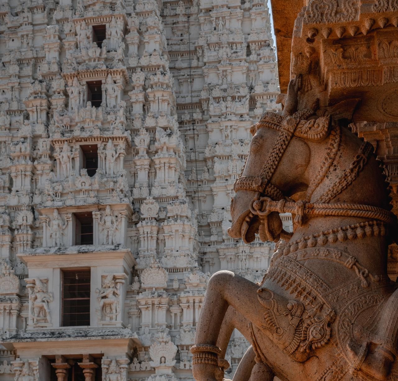 Detailed stone carvings in a temple in Tiruchirappalli, Tamil Nadu.